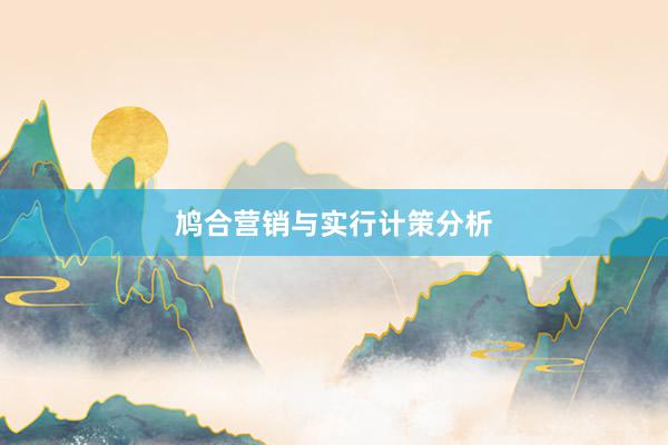 鸠合营销与实行计策分析