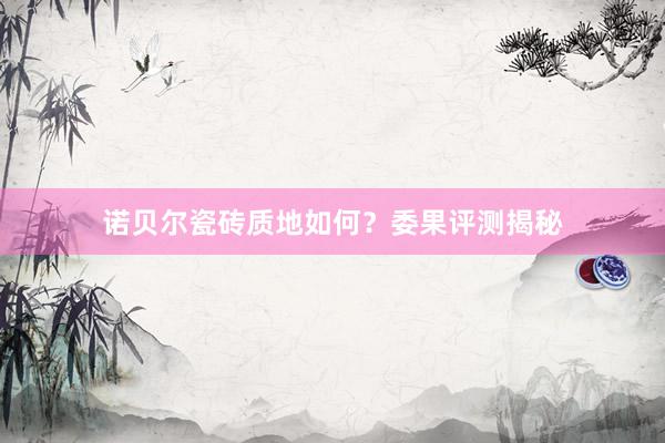 诺贝尔瓷砖质地如何？委果评测揭秘